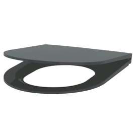 DELABIE vandálbiztos WC-ülőke fedővel és rozsdamentes acél zsanérokkal vandálbiztos DELABIE WC-hez, duroplast, szürke