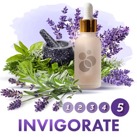 SensaMist Invigorate légfrissítő illatolaj illatdiffúzorba 1L - fűszeres, gyógynövény, cédrus, levendula, rozmaring