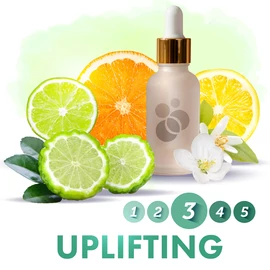 SensaMist Uplifting légfrissítő illatolaj illatdiffúzorba 1L - fűszeres, citrus, jázmin, bergamott, borostyán