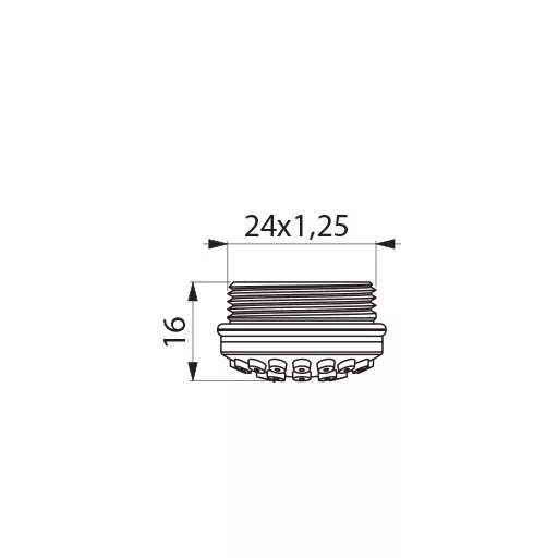 M24x1.25