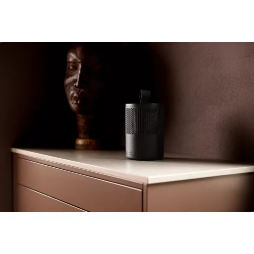 Értékes műtárgyak és dekorációk megóvása a páralecsapódás okozta károsodástól.