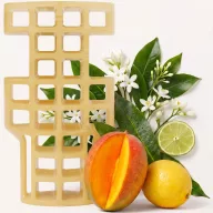   G-Vent Citrus Mango - citrus - mangó illatkehely ventilátoros légfrissítőbe, hajtógázmentes, akár 55m3 légtérre, EVA műanyag, 30 napos