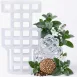 Ice Cool