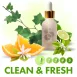 Clean & Fresh