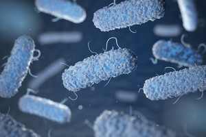 Legionella baktérium