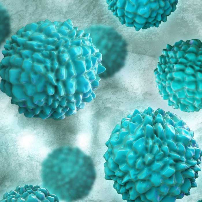 Norovirus
