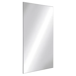 DELABIE vandálbiztos tükör, ütésálló rozsdamentes acéllemez, 595*980 mm, könnyen szerelhető 10 mm vastag megerősített PVC hátlap